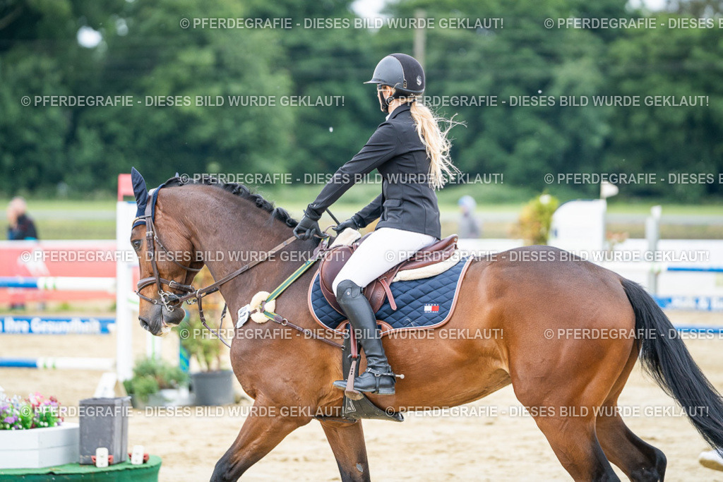 DSC04594 | Pferdegrafie