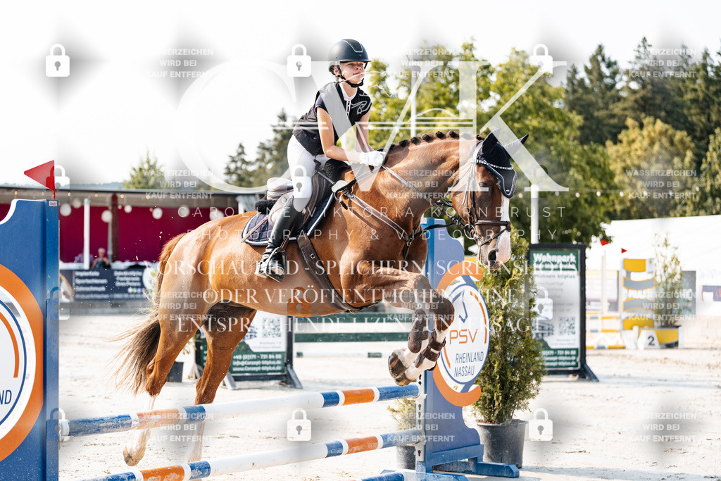 CK902758 | Turnierfotografie Pferdefotografie Trier Rheinland-Pfalz Pferdesport Reitsport Tierfotografie Sportfotografie Pferdevideo Pferdevideografie Equestrianvideography equestrianphotography  - Realisiert mit Pictrs.com
