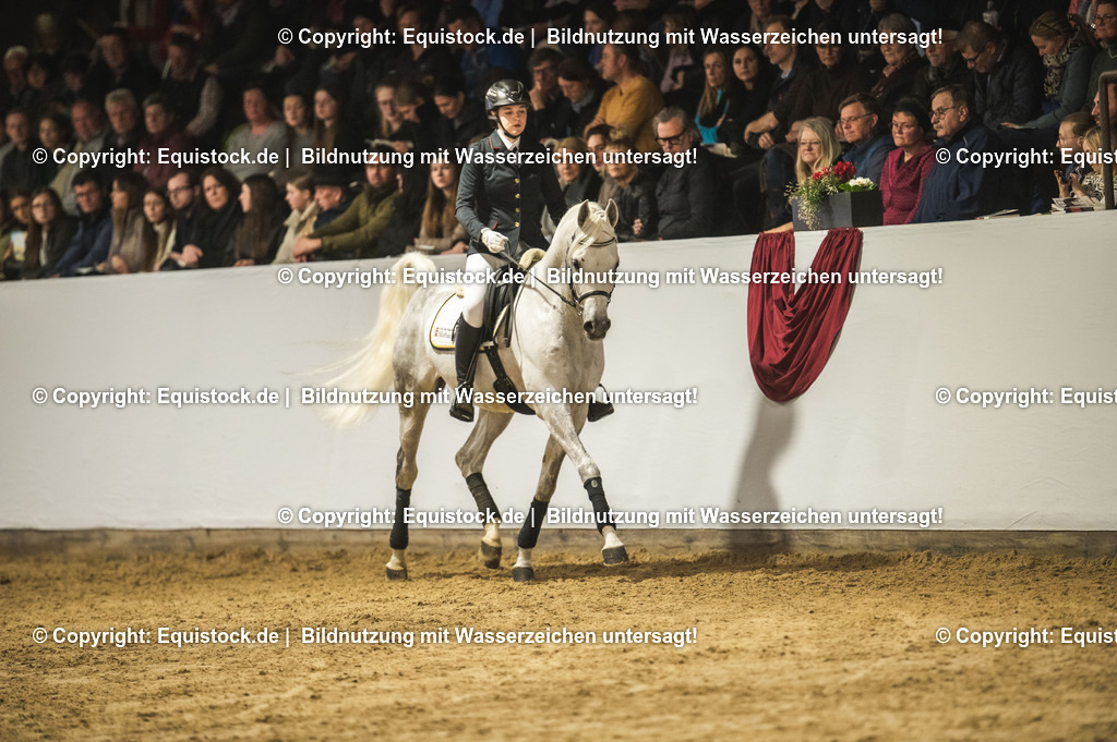 20240302_Hengstvorstellung_Marbach_TOMsPiC_1051-2 | equistock