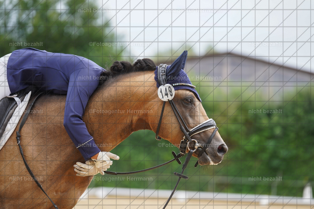 20240825-FAH00086 | Turnierbilder, Reitsportfotos, LAPO, Landesponyturnier, Turnierfotografen Bayern