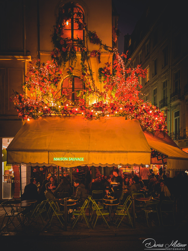 Paris | Fotografien, Fotos und Bilder aus Mainz, Frankfurt, Wiesbaden und anderen Orten auf der Welt - Fotografiert von Darius Metzner