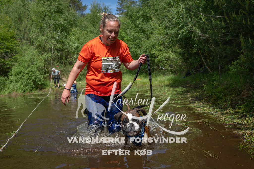 1203DKK991676 | kk-dogfotos