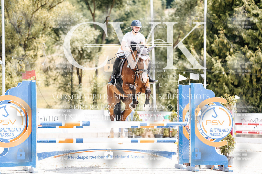 CK908084 | Turnierfotografie Pferdefotografie Trier Rheinland-Pfalz Pferdesport Reitsport Tierfotografie Sportfotografie Pferdevideo Pferdevideografie Equestrianvideography equestrianphotography  - Realisiert mit Pictrs.com