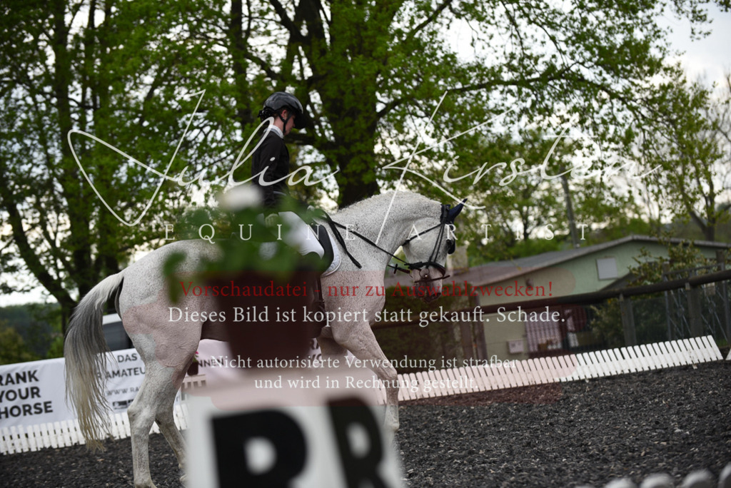 20230513_JK-Röhrsdorf-15-339 | Pferde- und Turnierfotografie in Westsachsen. Pferdeportraits, Auftragszeichnungen und intuitive Kunst.