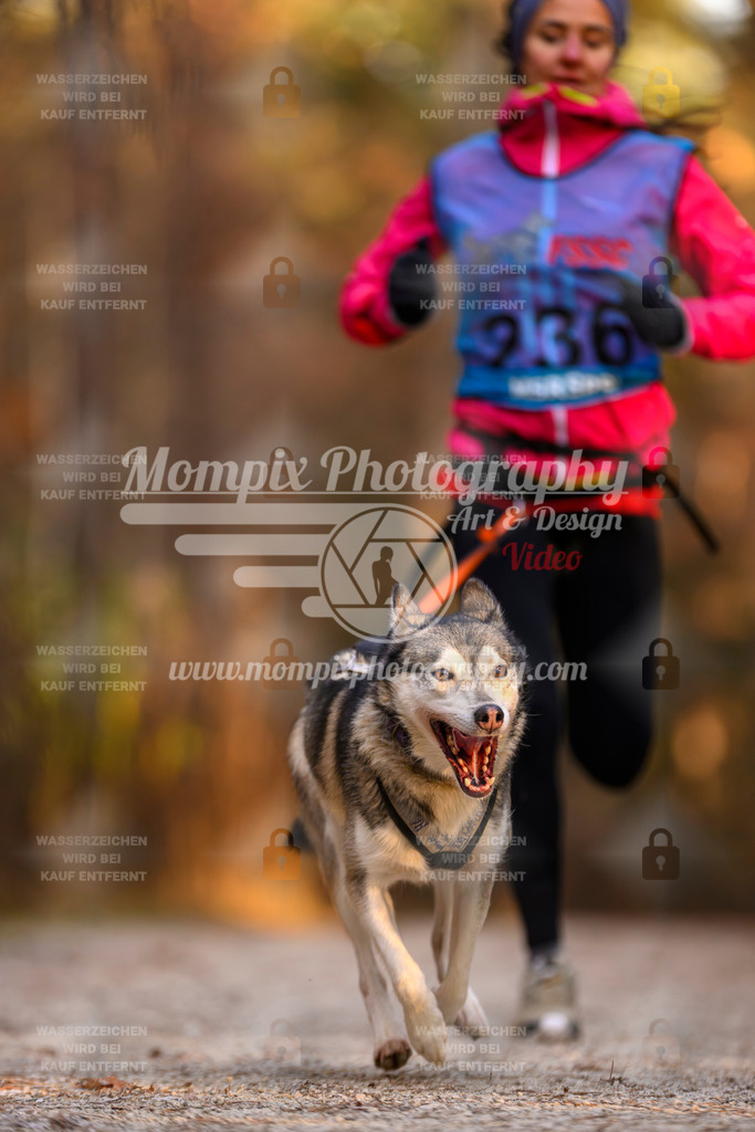 MompixPhotography_DM_AKDM_SO_2025_-86 | PayLife