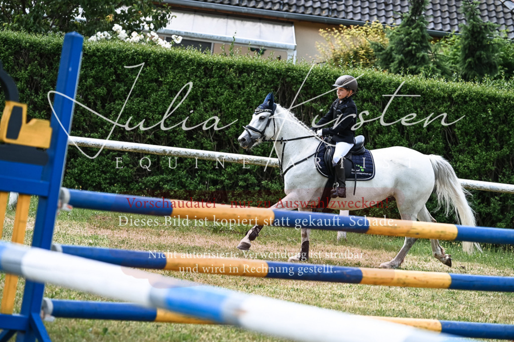 DSC_9611 | Pferde- und Turnierfotografie in Westsachsen. Pferdeportraits, Auftragszeichnungen und intuitive Kunst.
