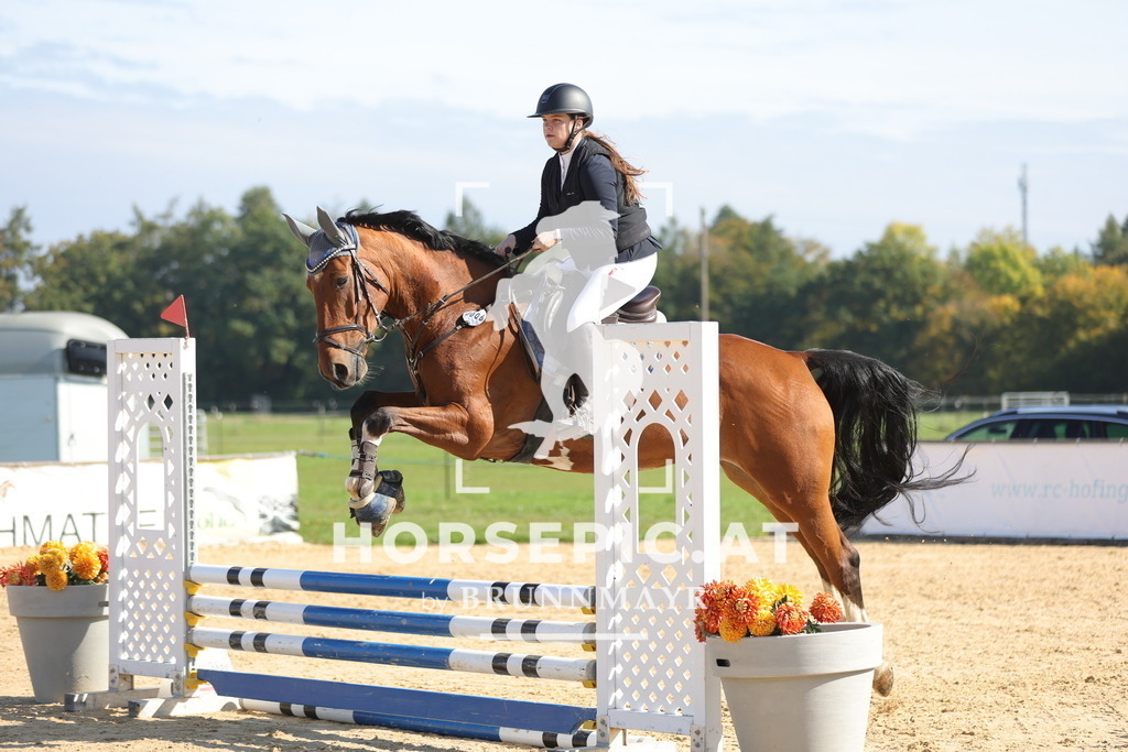 0P6A8363 | Willkommen bei Brunnmayr - Design & Fotografie – Ihrem Spezialisten für Reitturniere und Pferdeveranstaltungen in Oberösterreich, Salzburg und Bayern! Seit über 17 Jahren sind wir leidenschaftlich dabei.