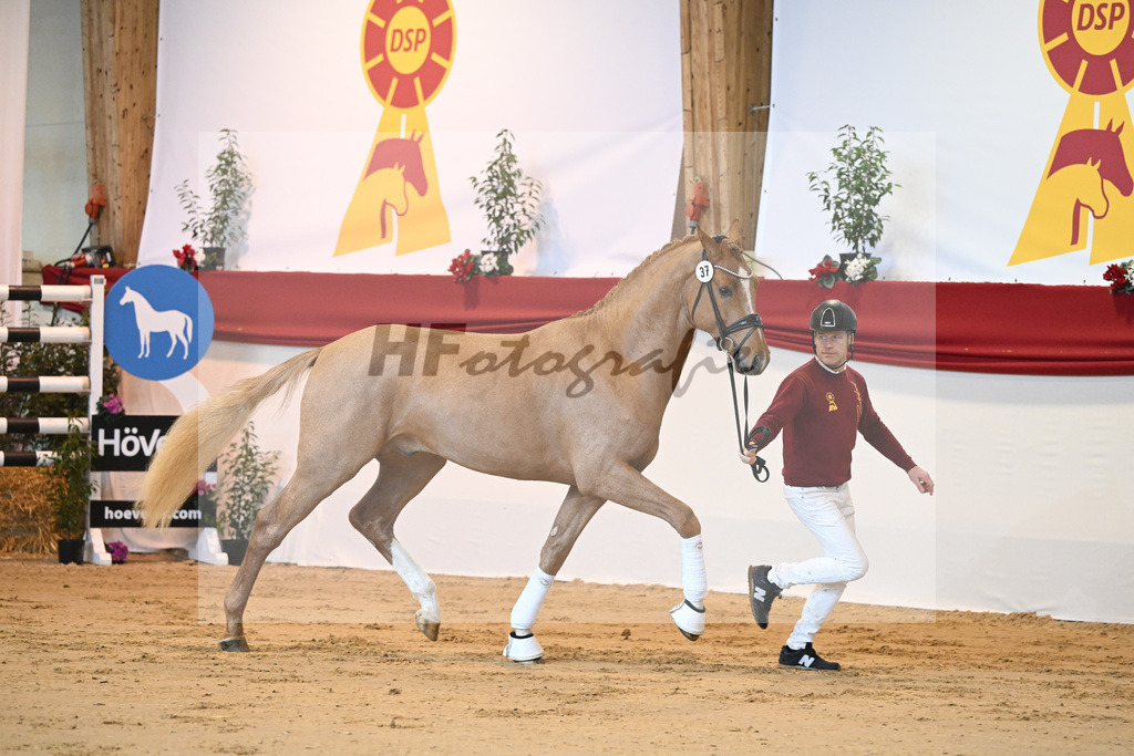 Kat-Nr. 37 Zinedream_Holtwiesche u Schulze-Averdiek_1231258 | hf-fotografie - Realizzato con Pictrs.com