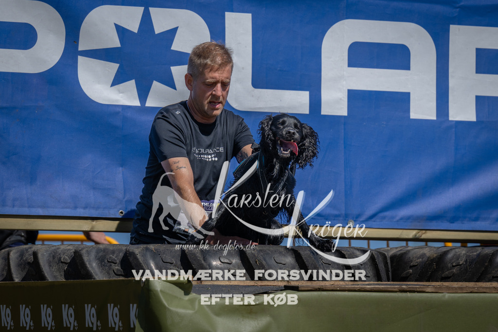 1255_ZZ97439 | kk-dogfotos