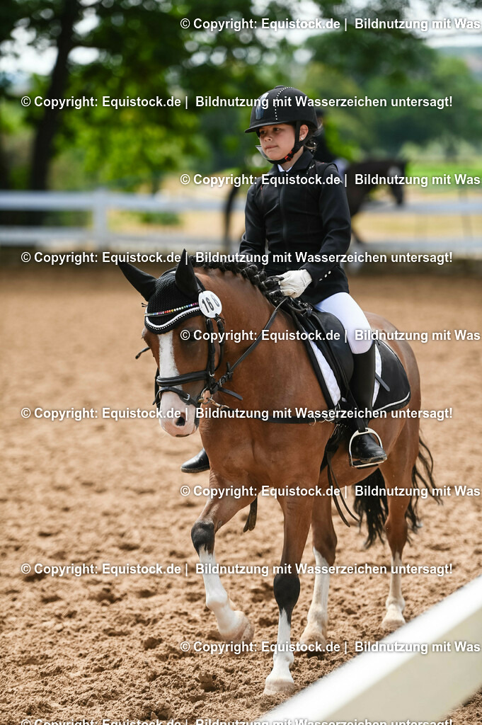 20230716_10-3_Reiter-WB Schritt - Trab - Galopp_0155 | equistock