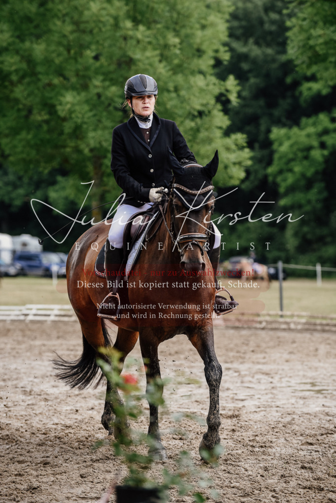 DSC_0772 | Pferde- und Turnierfotografie in Westsachsen. Pferdeportraits, Auftragszeichnungen und intuitive Kunst.