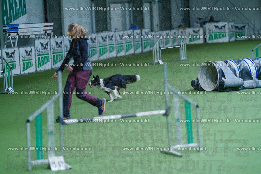 @allesWIRTHgut_Tierfotografie - www.allesWIRTHgut.de - 2604261345-7R502568 | Professionelle Tierfotografie in Mönchengladbach von Daniel Wirth (allesWIRTHgut). Liebevolle & natürliche Bilder von Hunden & Katzen für unvergessliche Erinnerungen.