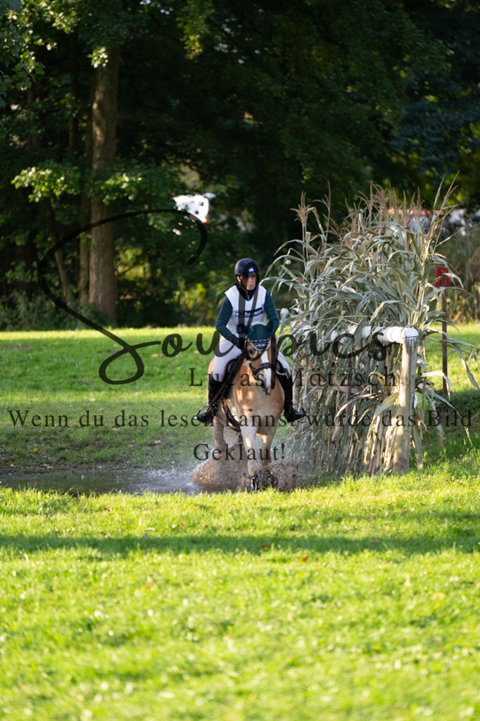 A7V02853 | Turnier/Reitfotograf