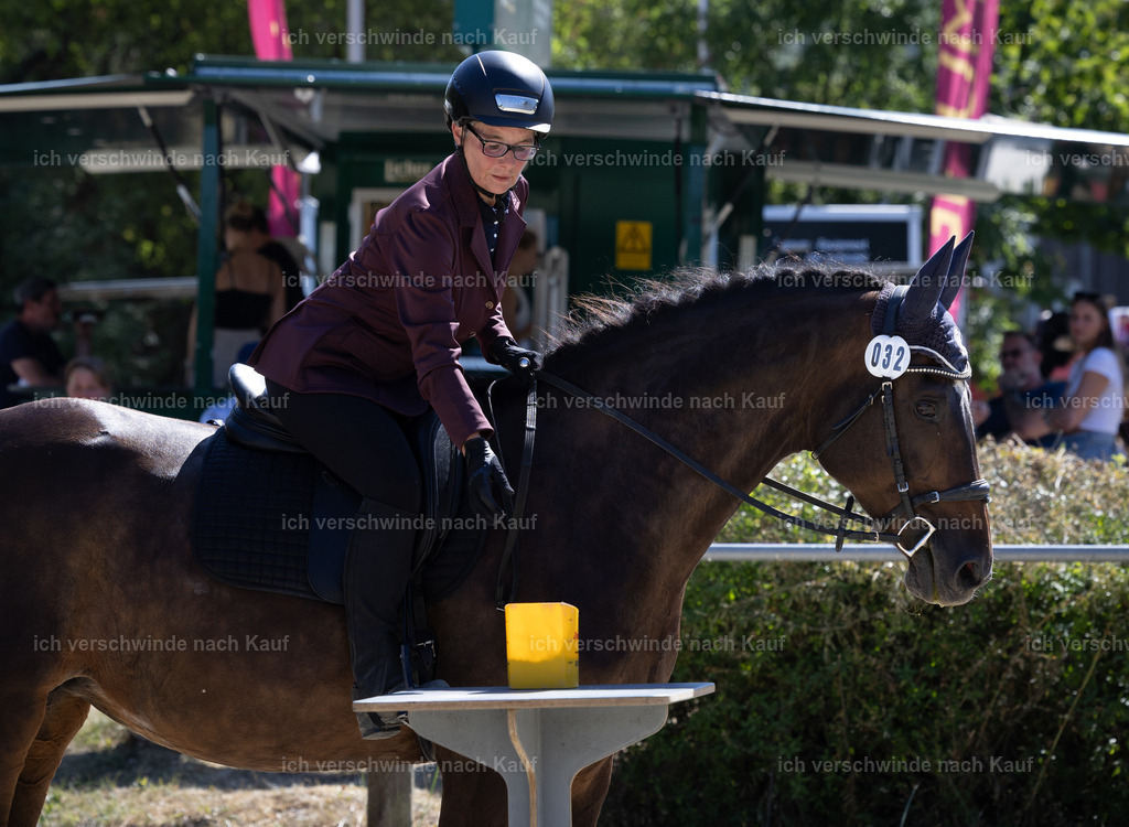 WE_Trail_32_KerstinBernhardt-14 | working equitationturnier fotograf videograf stoibphotography marixx film working equitation deutschland reitsport turnierfotografie eventfotografie equestrian events