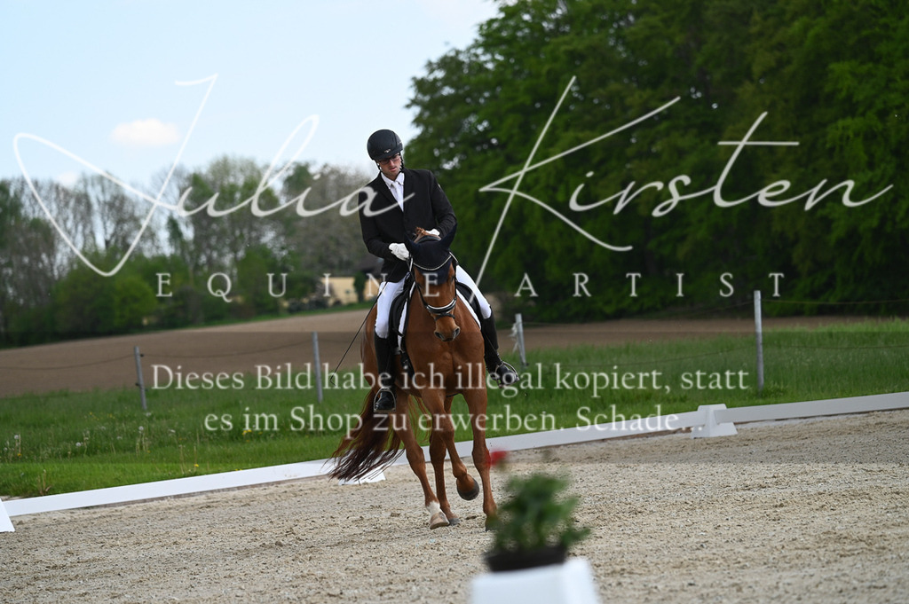 20230512_JK-Röhrsdorf-03-040 | Pferde- und Turnierfotografie in Westsachsen. Pferdeportraits, Auftragszeichnungen und intuitive Kunst.