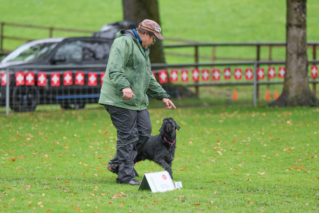 2025_Rally_Obedience_SM-54 | Ich fotografiere Hundeausstellungen, Sportanlässe, Zuchtstätten, Hundezucht, Hundeportrait, Lagotto - Realisiert mit Pictrs.com