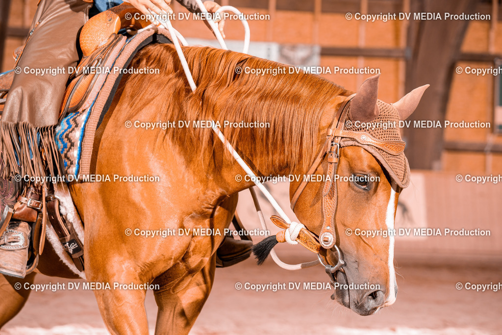 NE300530 | dv-media-shop - Realisiert mit Pictrs.com