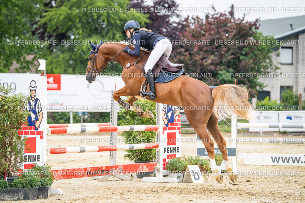 DSC00441 | Pferdegrafie