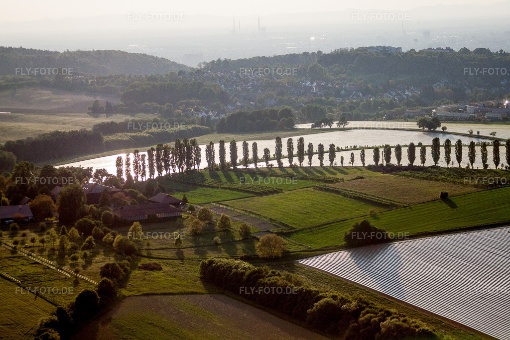 Luftbild: Baumreihe an einer Landstraße an einem Feldrand im Ortsteil Thomashof, Hohenwettersbach im Ortsteil Hohenwettersbach in Karlsruhe im Bundesland Baden-Württemberg in Deutschland. Foto: IMG_27560.jpg vom 23.05.2010 durch Werner Riehm/FLY-FOTO.de