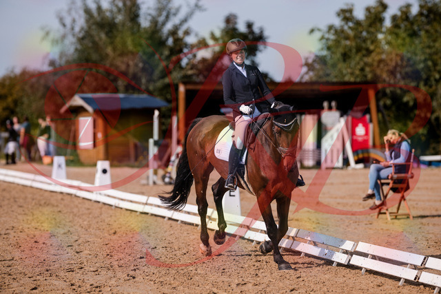 2026_10_03_Siefer-Hof_123141_Z81_30315172 | Professionelle Reitsport-, Turnier- und Eventfotografie von Robert Broda. Galerien mit ausgewählten und bearbeiteten Bildern direkt online ansehen und bestellen.