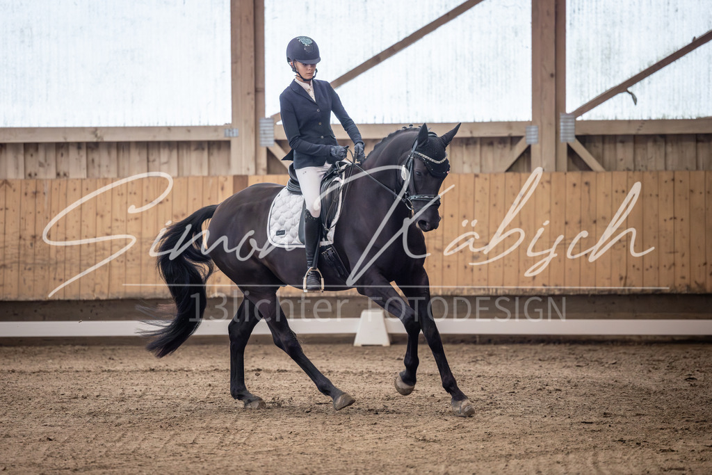 20251011-_3LI9538 | Tierfotografie Pferde, Hunde, Katzen, Haustiere.
Turnierfotografie Reitturniere, Reiten, Springreiten, Dressur in Hanau, dem Main-Kinzig-Kreis und dem Rhein-Main- Gebiet um Frankfurt