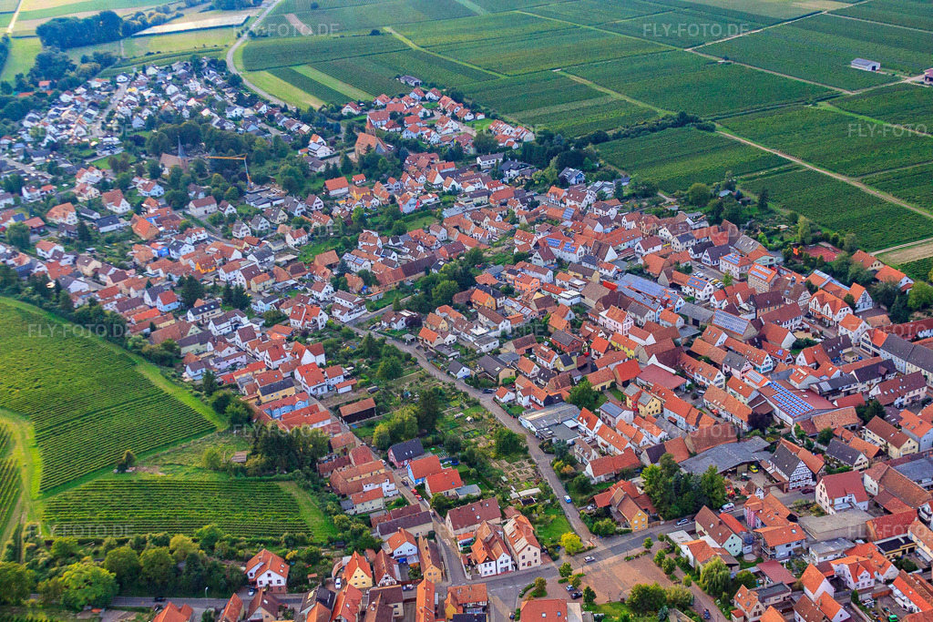 Dorfansicht von Osten | Luftbild: Dorfansicht von Osten in Insheim im Bundesland Rheinland-Pfalz in Deutschland. Foto: IMG_32904.jpg vom 03.09.2010 durch Werner Riehm/FLY-FOTO.de - Realisiert mit Pictrs.com