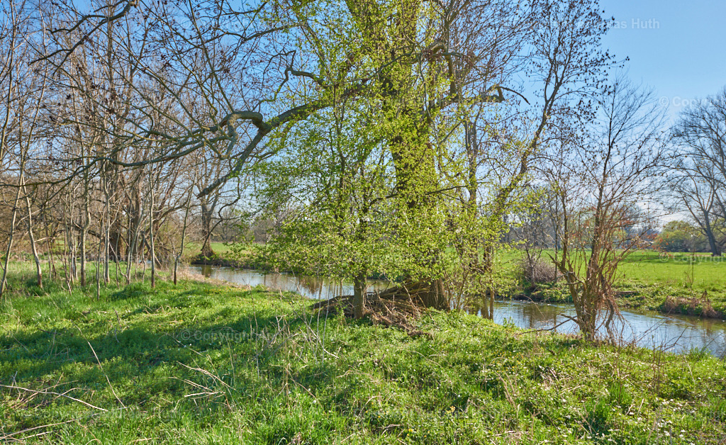 Am Profener Elstermühlgraben nahe Lützkewitz 03 | Bedeutsame Landschaften Deutschlands - Realisiert mit Pictrs.com