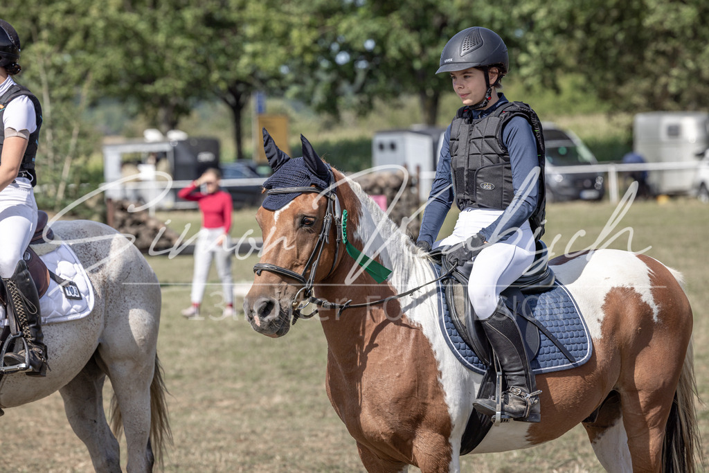 20250907-_3LI0337 | Tierfotografie Pferde, Hunde, Katzen, Haustiere.
Turnierfotografie Reitturniere, Reiten, Springreiten, Dressur in Hanau, dem Main-Kinzig-Kreis und dem Rhein-Main- Gebiet um Frankfurt