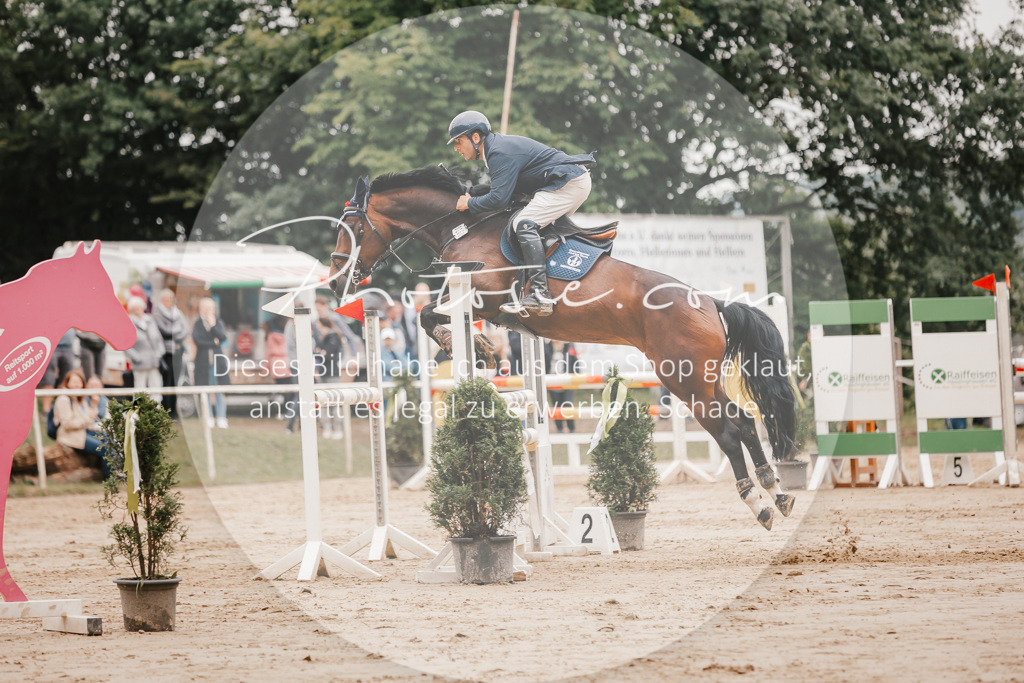 3I6A2246 | Stimmungsvolle Portraits und Reitsportfotografie im Ruhrgebiet und im Münsterland.

Pferdefotografie, Hundefotografie, Tierfotografie, Reportagen, Portraits von Tier und Mensch, Turnierfotografie in Bochum, Recklinghausen, Marl, Haltern am See, Dülmen.. - Realisiert mit Pictrs.com