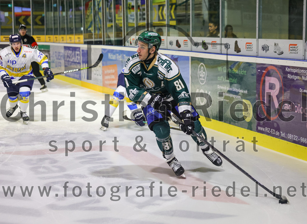 2026-01-09_028_TSV_Erding_gegen_Stuttgart_Rebels | Erding, Deutschland, 09.01.2026:Eishockey, Oberliga Süd 2025 / 2026, 35. Spieltag, TSV Erding gegen Stuttgart Rebels, Endergebnis: Maximilian Forster (Erding Gladiators, #81)Foto: Christian Riedel / fotografie-riedel.net