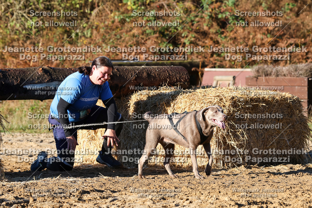 Dog Paparazzi - Strongdog 10-25-1307 | Dog Paparazzi Jeanette Grottendiek Fotografie & Videografie - Realisiert mit Pictrs.com