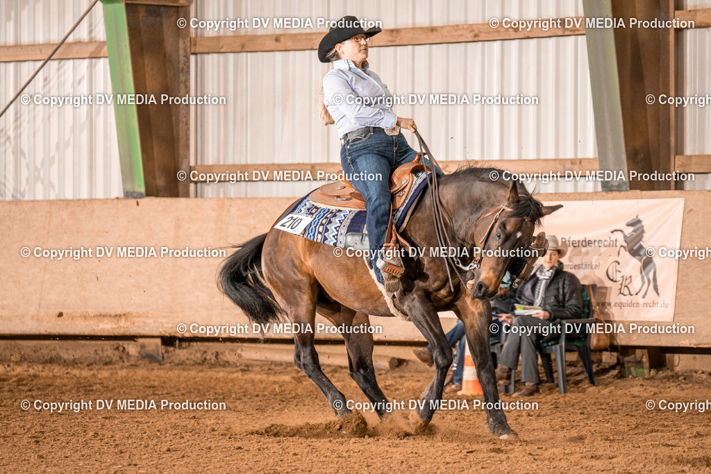 BAL00631 | dv-media-shop - Realisiert mit Pictrs.com