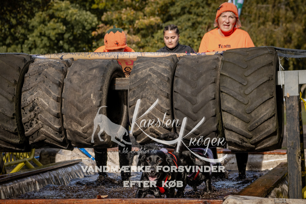 1359_ZZ93580 | kk-dogfotos