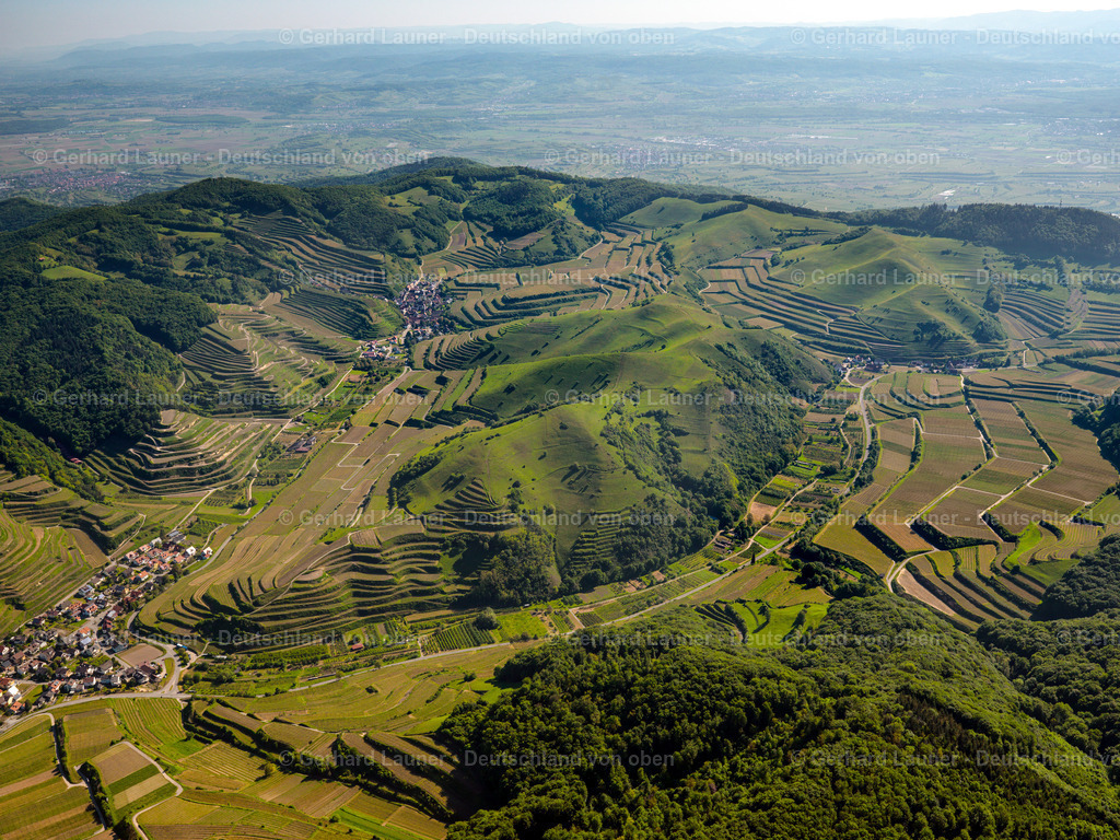 3096262 | Weinbergsterrassen am Badberg, Kaiserstuhl