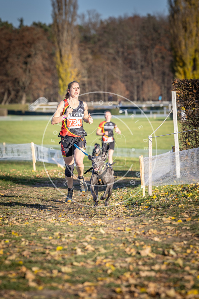 CaniXpix_DV3A2090 | Hundefotografie, Tierfotograf, Pfotenfotografie, Fotoshooting Hund, Hunde Portrait, Hundesport, Hundeportraits, Heideshooting, Hunde, Sportfotograf, Hundefotograf, Turnierhundsport, THS,  - Realisiert mit Pictrs.com