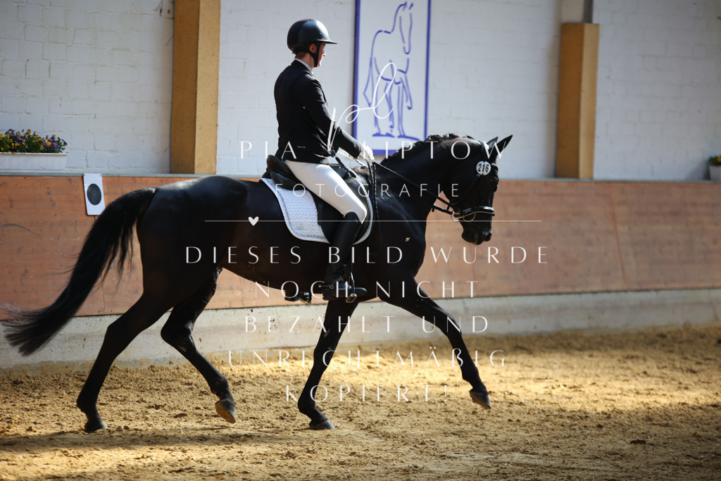 IMGT6805 | pl-fotografie