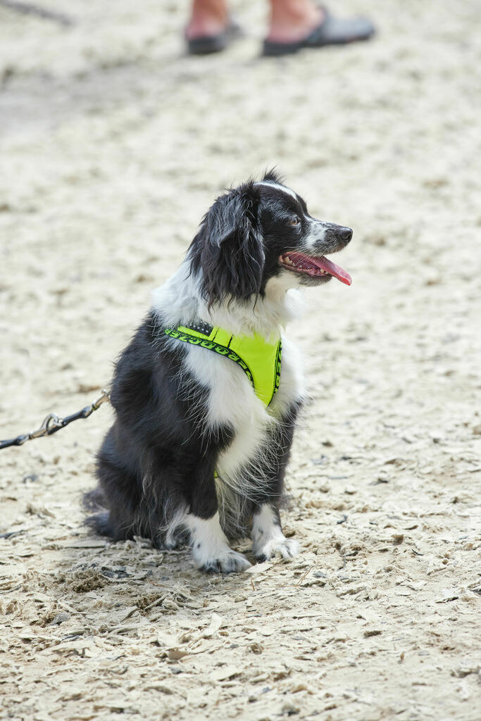 580A0105 | Peter Fridle Fotografie - Realisiert mit Pictrs.com