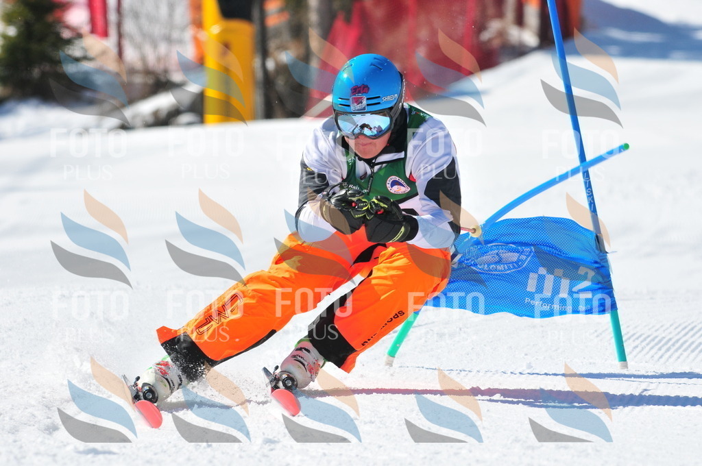 C3592 | holidayphoto