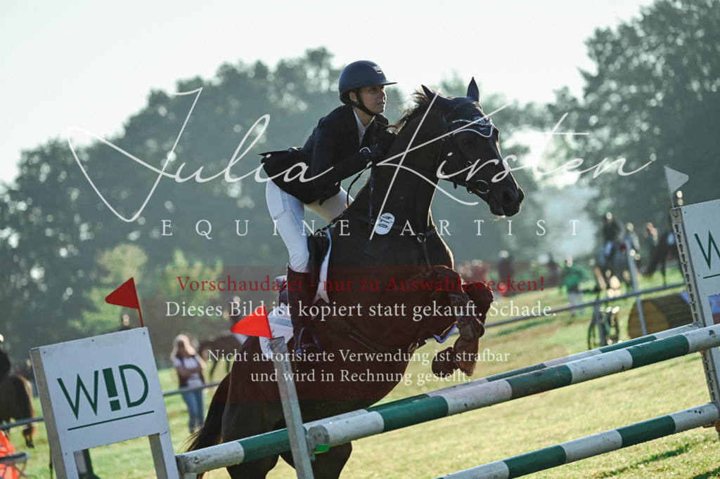 DSC_3818 | Pferde- und Turnierfotografie in Westsachsen. Pferdeportraits, Auftragszeichnungen und intuitive Kunst.