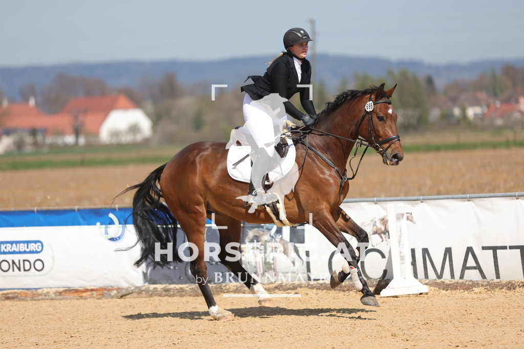 0P6A0435 | Willkommen bei Brunnmayr - Design & Fotografie – Ihrem Spezialisten für Reitturniere und Pferdeveranstaltungen in Oberösterreich, Salzburg und Bayern! Seit über 17 Jahren sind wir leidenschaftlich dabei.