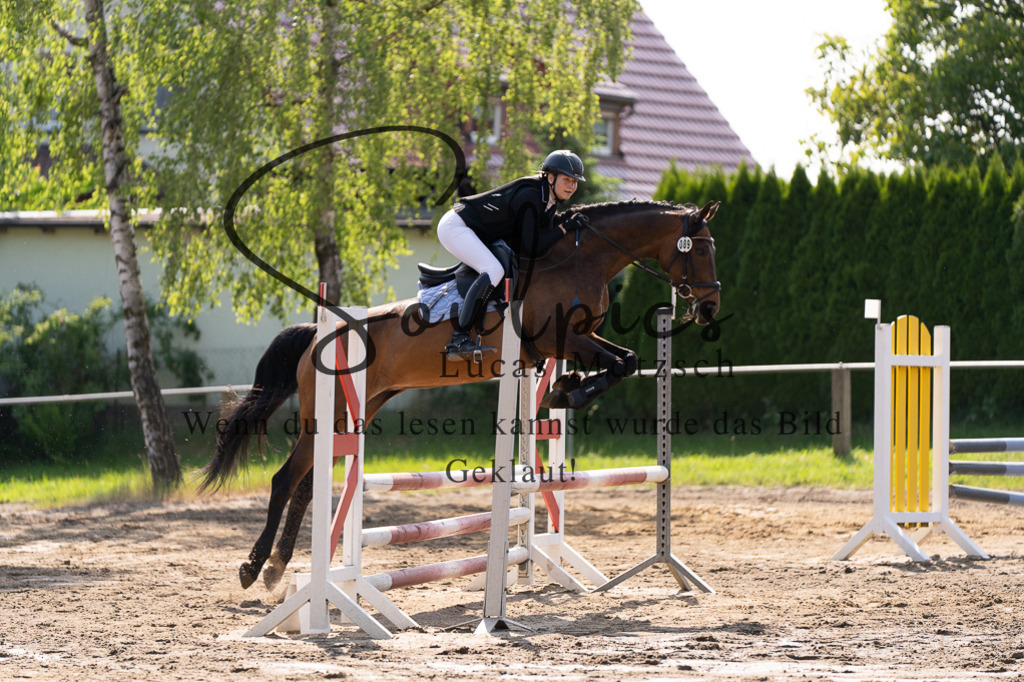 A7507324 | Turnier/Reitfotograf