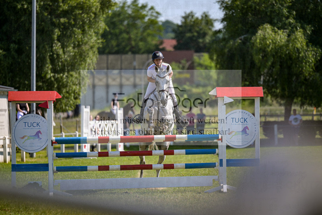 Reitturnier Voxtrup | Entdecke hochwertige Reitturnierfotos von Foto Oger. Professionell, emotional und authentisch – jetzt Lieblingsmomente im Shop bestellen.Deutschlandweite Turnierfotografie. - Realisiert mit Pictrs.com