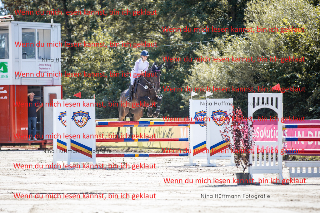 BK1A6557 | Turnierbilder Turnierfotos Nina Hüffmann Turnierfotografie Pferdefotografie Tierzeichnung Haustierzeichnung Pferdezeichnung Hundezeichnung Videograf  - Realisiert mit Pictrs.com