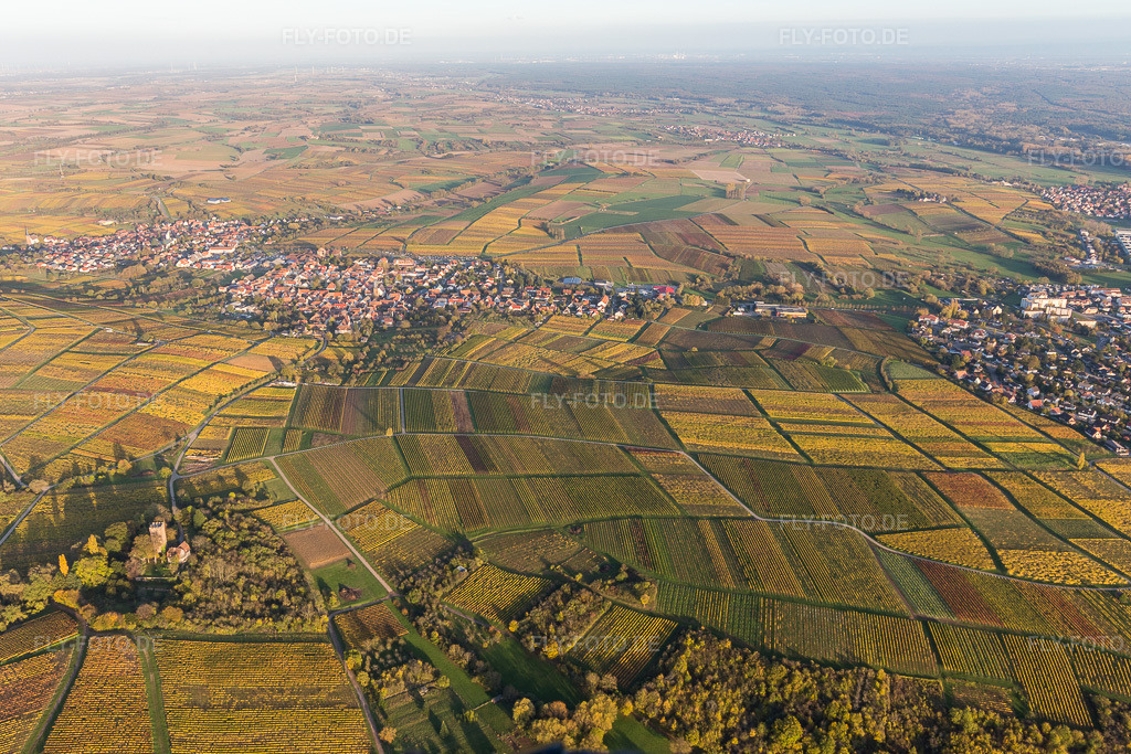 Luftbild: Weinbergen des Sonnenberg in Schweigen im Ortsteil Schweigen in Schweigen-Rechtenbach im Bundesland Rheinland-Pfalz in Deutschland. Foto: IMG_104433.jpg vom 31.10.2017 durch Werner Riehm/FLY-FOTO.de
