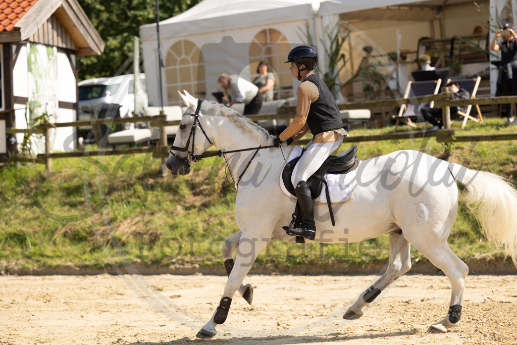 994A8176 | sabrinanicolaifotografie - Realisiert mit Pictrs.com