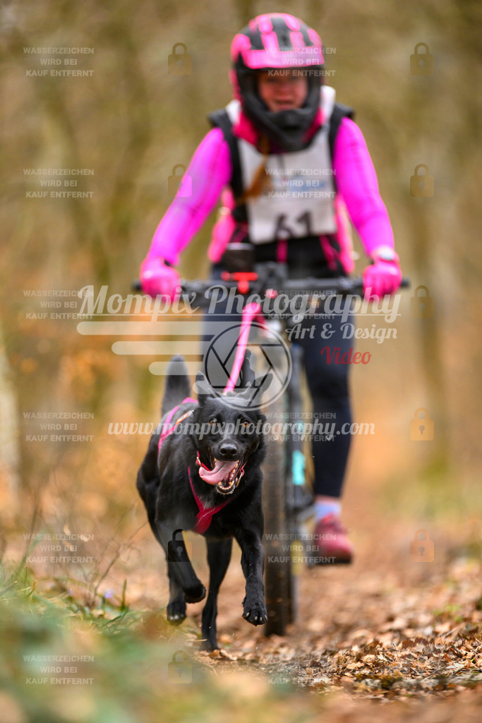 MompixPhotography_ReiatRennen2024_SO_Bike1H-108 | PayLife