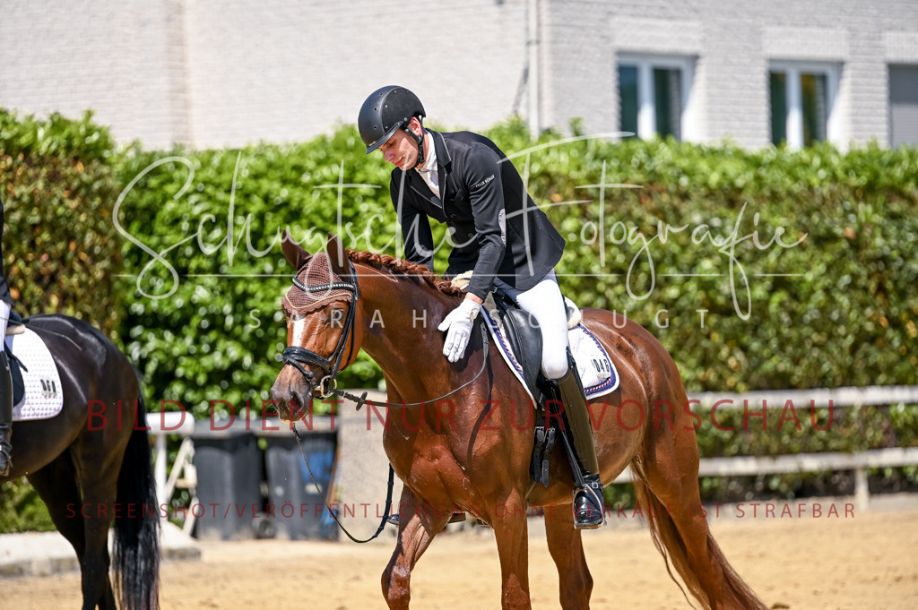 Schugtsche-Aluta25-49.Dressurpferdeprf.A-242 | Schugtsche Fotografie - Realisiert mit Pictrs.com