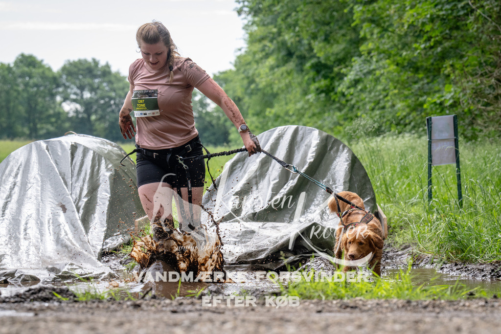 0953_ZZ92205 | kk-dogfotos