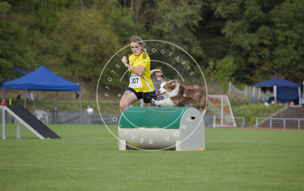 0L8A3652 | Hundefotografie, Tierfotograf, Pfotenfotografie, Fotoshooting Hund, Hunde Portrait, Hundesport, Hundeportraits, Heideshooting, Hunde, Sportfotograf, Hundefotograf, Turnierhundsport, THS,  - Realisiert mit Pictrs.com