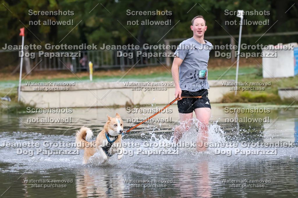 Dog Paparazzi - Strongdog 10-25-6191 | Dog Paparazzi Jeanette Grottendiek Fotografie & Videografie - Realisiert mit Pictrs.com